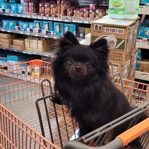 JUST LISTED MANY NEW ITEMS..TIME FOR SHOPPING..